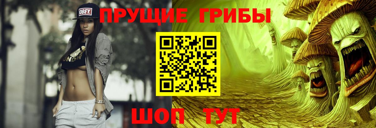 купить закладку  Вход с VPN  Жуковский  Галлюциногенные грибы Psilocybe 